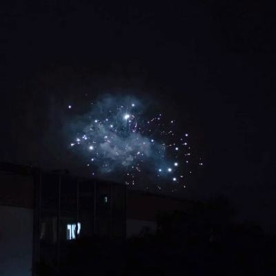 镇龙诀bt版下载