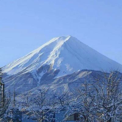 巅峰国际-科技赋能场景,让娱乐更有趣V4.32.64.706 -苹果版